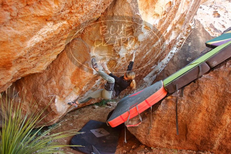 Bouldering in Hueco Tanks on 01/05/2020 with Blue Lizard Climbing and Yoga

Filename: SRM_20200105_1322350.jpg
Aperture: f/3.2
Shutter Speed: 1/250
Body: Canon EOS-1D Mark II
Lens: Canon EF 16-35mm f/2.8 L