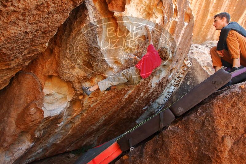 Bouldering in Hueco Tanks on 01/05/2020 with Blue Lizard Climbing and Yoga
Filename: SRM_20200105_1324080.jpg
Aperture: f/5.0
Shutter Speed: 1/250
Body: Canon EOS-1D Mark II
Lens: Canon EF 16-35mm f/2.8 L