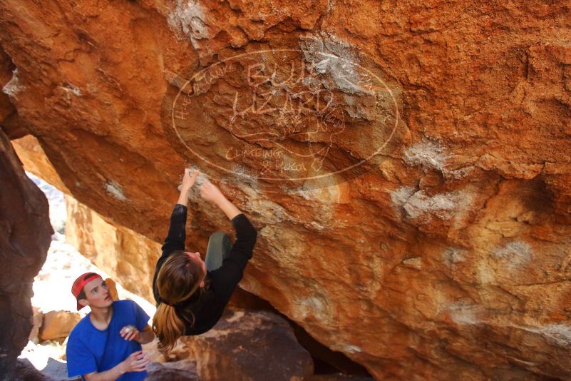 Bouldering in Hueco Tanks on 01/05/2020 with Blue Lizard Climbing and Yoga

Filename: SRM_20200105_1443330.jpg
Aperture: f/4.0
Shutter Speed: 1/250
Body: Canon EOS-1D Mark II
Lens: Canon EF 16-35mm f/2.8 L