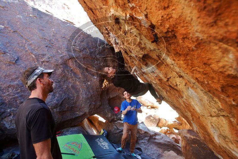 Bouldering in Hueco Tanks on 01/05/2020 with Blue Lizard Climbing and Yoga

Filename: SRM_20200105_1450300.jpg
Aperture: f/4.0
Shutter Speed: 1/250
Body: Canon EOS-1D Mark II
Lens: Canon EF 16-35mm f/2.8 L