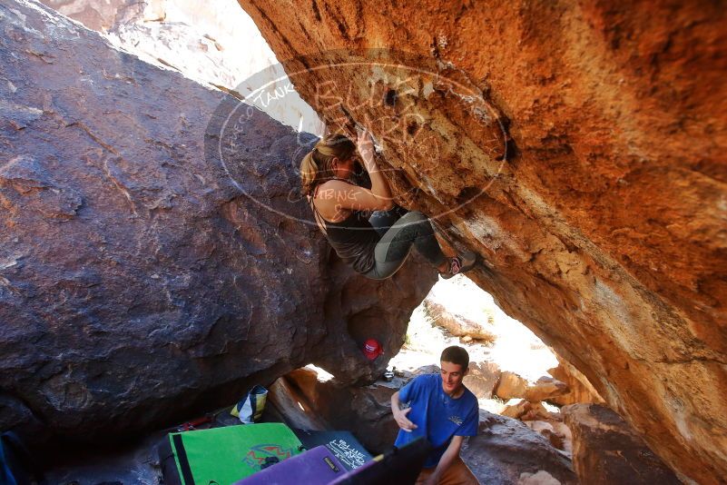 Bouldering in Hueco Tanks on 01/05/2020 with Blue Lizard Climbing and Yoga
Filename: SRM_20200105_1502000.jpg
Aperture: f/5.0
Shutter Speed: 1/250
Body: Canon EOS-1D Mark II
Lens: Canon EF 16-35mm f/2.8 L