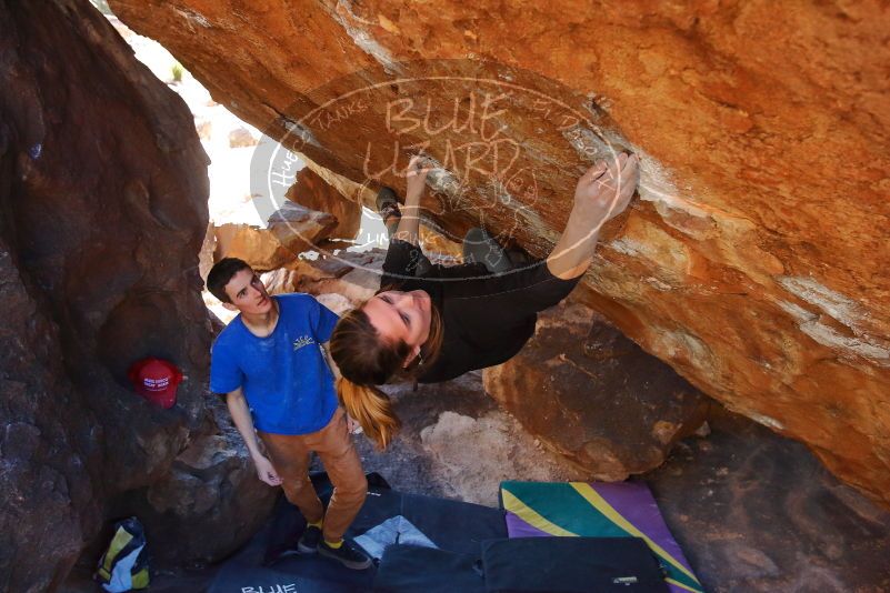 Bouldering in Hueco Tanks on 01/05/2020 with Blue Lizard Climbing and Yoga

Filename: SRM_20200105_1522441.jpg
Aperture: f/5.0
Shutter Speed: 1/250
Body: Canon EOS-1D Mark II
Lens: Canon EF 16-35mm f/2.8 L