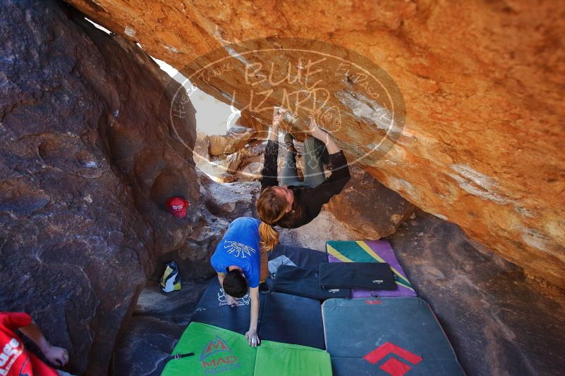 Bouldering in Hueco Tanks on 01/05/2020 with Blue Lizard Climbing and Yoga
Filename: SRM_20200105_1530251.jpg
Aperture: f/3.5
Shutter Speed: 1/250
Body: Canon EOS-1D Mark II
Lens: Canon EF 16-35mm f/2.8 L
