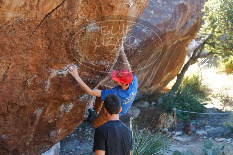 Bouldering in Hueco Tanks on 01/05/2020 with Blue Lizard Climbing and Yoga

Filename: SRM_20200105_1557470.jpg
Aperture: f/4.5
Shutter Speed: 1/250
Body: Canon EOS-1D Mark II
Lens: Canon EF 50mm f/1.8 II