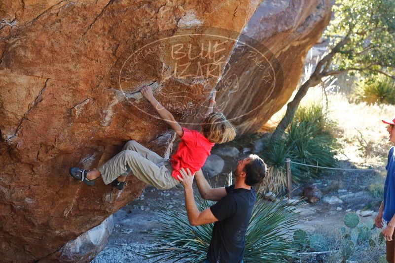 Bouldering in Hueco Tanks on 01/05/2020 with Blue Lizard Climbing and Yoga
Filename: SRM_20200105_1605270.jpg
Aperture: f/4.5
Shutter Speed: 1/250
Body: Canon EOS-1D Mark II
Lens: Canon EF 50mm f/1.8 II