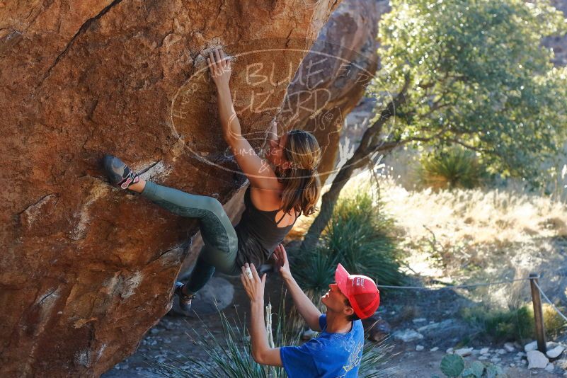 Bouldering in Hueco Tanks on 01/05/2020 with Blue Lizard Climbing and Yoga

Filename: SRM_20200105_1611280.jpg
Aperture: f/4.0
Shutter Speed: 1/250
Body: Canon EOS-1D Mark II
Lens: Canon EF 50mm f/1.8 II