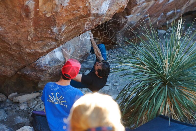 Bouldering in Hueco Tanks on 01/05/2020 with Blue Lizard Climbing and Yoga

Filename: SRM_20200105_1619480.jpg
Aperture: f/2.8
Shutter Speed: 1/250
Body: Canon EOS-1D Mark II
Lens: Canon EF 50mm f/1.8 II