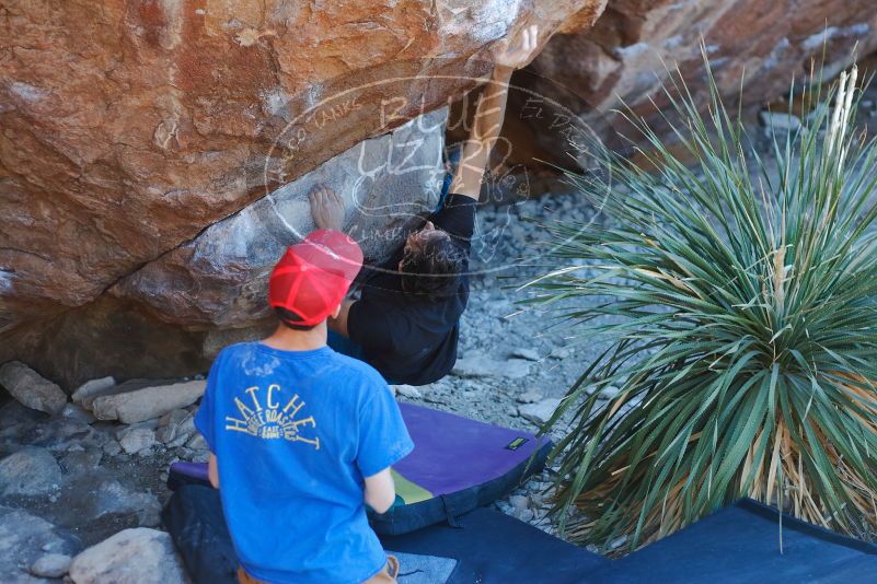 Bouldering in Hueco Tanks on 01/05/2020 with Blue Lizard Climbing and Yoga
Filename: SRM_20200105_1619560.jpg
Aperture: f/2.8
Shutter Speed: 1/250
Body: Canon EOS-1D Mark II
Lens: Canon EF 50mm f/1.8 II