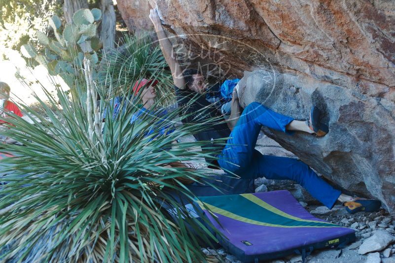 Bouldering in Hueco Tanks on 01/05/2020 with Blue Lizard Climbing and Yoga
Filename: SRM_20200105_1622090.jpg
Aperture: f/3.5
Shutter Speed: 1/250
Body: Canon EOS-1D Mark II
Lens: Canon EF 50mm f/1.8 II