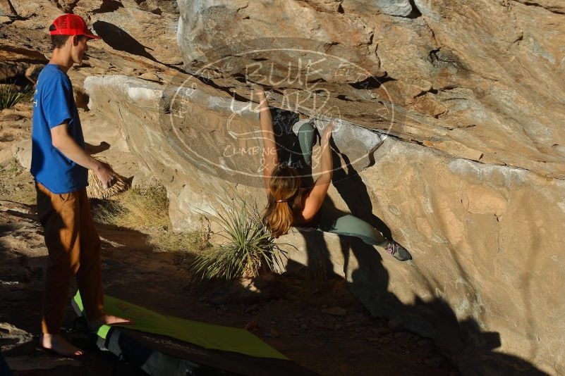 Bouldering in Hueco Tanks on 01/05/2020 with Blue Lizard Climbing and Yoga
Filename: SRM_20200105_1701220.jpg
Aperture: f/5.0
Shutter Speed: 1/500
Body: Canon EOS-1D Mark II
Lens: Canon EF 50mm f/1.8 II
