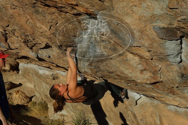 Bouldering in Hueco Tanks on 01/05/2020 with Blue Lizard Climbing and Yoga

Filename: SRM_20200105_1701400.jpg
Aperture: f/5.6
Shutter Speed: 1/640
Body: Canon EOS-1D Mark II
Lens: Canon EF 50mm f/1.8 II