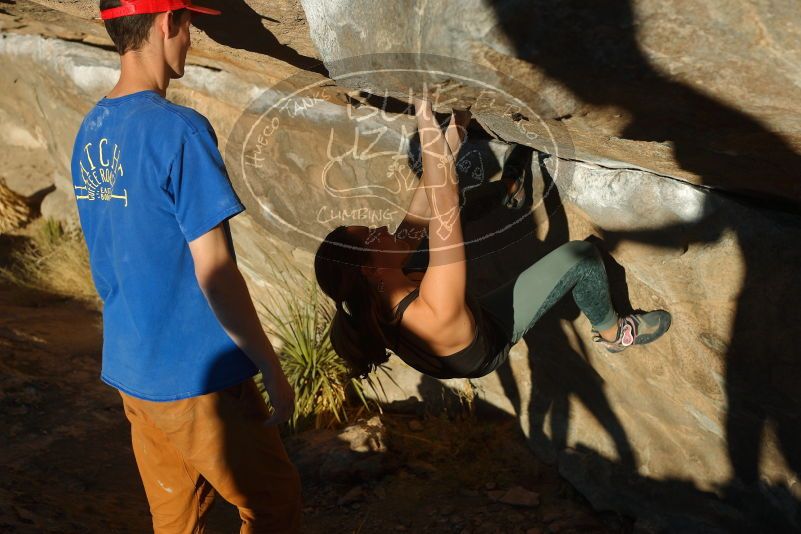 Bouldering in Hueco Tanks on 01/05/2020 with Blue Lizard Climbing and Yoga
Filename: SRM_20200105_1707050.jpg
Aperture: f/4.5
Shutter Speed: 1/640
Body: Canon EOS-1D Mark II
Lens: Canon EF 50mm f/1.8 II