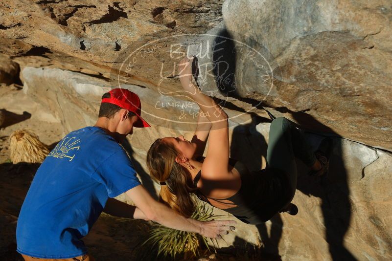 Bouldering in Hueco Tanks on 01/05/2020 with Blue Lizard Climbing and Yoga
Filename: SRM_20200105_1707100.jpg
Aperture: f/5.0
Shutter Speed: 1/640
Body: Canon EOS-1D Mark II
Lens: Canon EF 50mm f/1.8 II