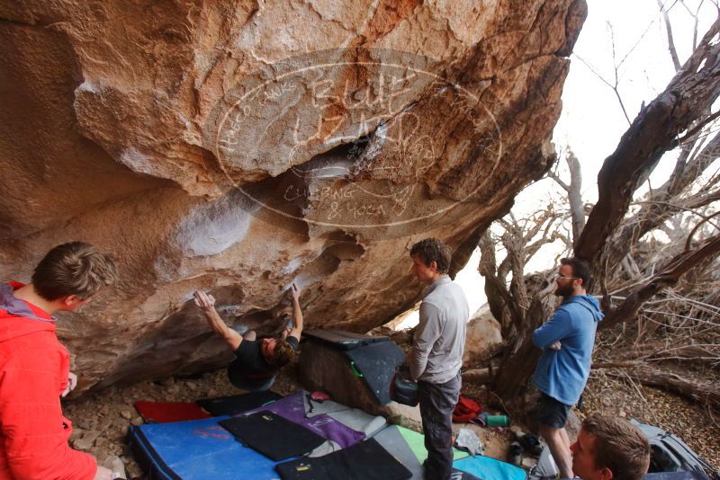 Bouldering in Hueco Tanks on 01/04/2020 with Blue Lizard Climbing and Yoga

Filename: SRM_20200104_1241560.jpg
Aperture: f/4.5
Shutter Speed: 1/250
Body: Canon EOS-1D Mark II
Lens: Canon EF 16-35mm f/2.8 L