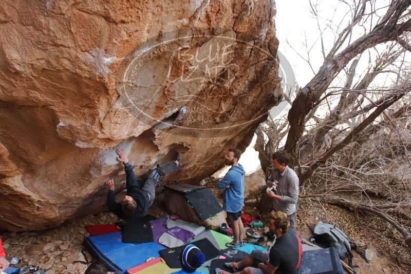 Bouldering in Hueco Tanks on 01/04/2020 with Blue Lizard Climbing and Yoga

Filename: SRM_20200104_1243510.jpg
Aperture: f/4.5
Shutter Speed: 1/250
Body: Canon EOS-1D Mark II
Lens: Canon EF 16-35mm f/2.8 L