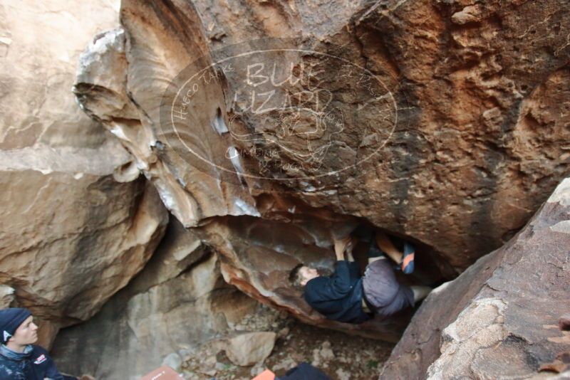 Bouldering in Hueco Tanks on 01/04/2020 with Blue Lizard Climbing and Yoga
Filename: SRM_20200104_1617460.jpg
Aperture: f/2.8
Shutter Speed: 1/250
Body: Canon EOS-1D Mark II
Lens: Canon EF 16-35mm f/2.8 L