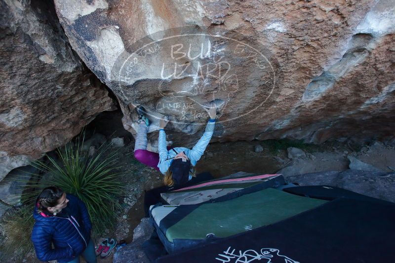 Bouldering in Hueco Tanks on 01/08/2020 with Blue Lizard Climbing and Yoga

Filename: SRM_20200108_1043420.jpg
Aperture: f/4.5
Shutter Speed: 1/250
Body: Canon EOS-1D Mark II
Lens: Canon EF 16-35mm f/2.8 L