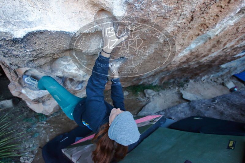 Bouldering in Hueco Tanks on 01/08/2020 with Blue Lizard Climbing and Yoga

Filename: SRM_20200108_1046250.jpg
Aperture: f/3.5
Shutter Speed: 1/250
Body: Canon EOS-1D Mark II
Lens: Canon EF 16-35mm f/2.8 L