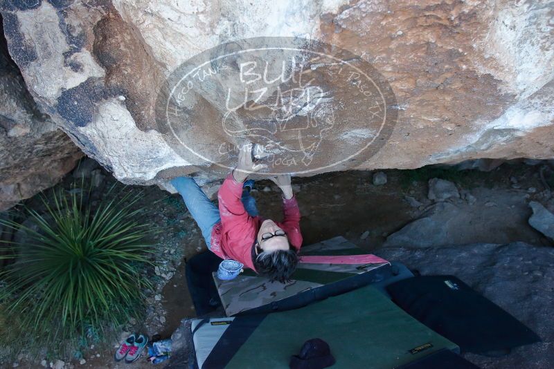 Bouldering in Hueco Tanks on 01/08/2020 with Blue Lizard Climbing and Yoga

Filename: SRM_20200108_1048250.jpg
Aperture: f/4.5
Shutter Speed: 1/250
Body: Canon EOS-1D Mark II
Lens: Canon EF 16-35mm f/2.8 L