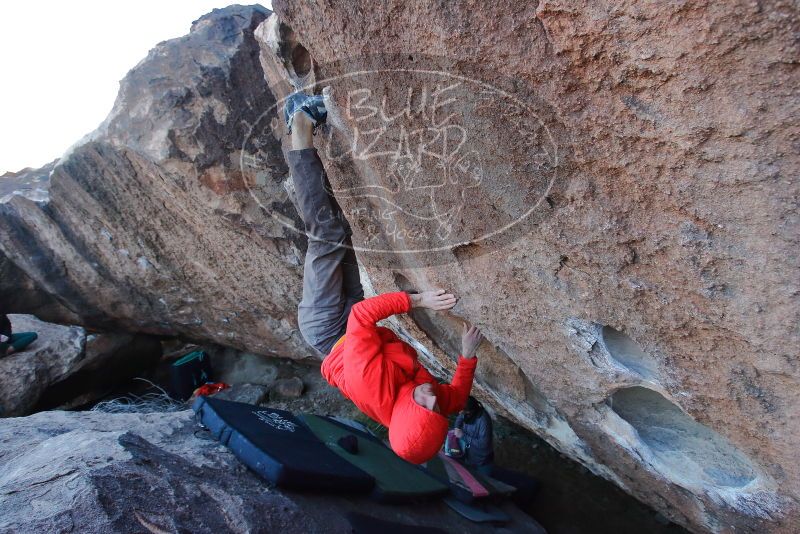 Bouldering in Hueco Tanks on 01/08/2020 with Blue Lizard Climbing and Yoga

Filename: SRM_20200108_1049320.jpg
Aperture: f/5.6
Shutter Speed: 1/250
Body: Canon EOS-1D Mark II
Lens: Canon EF 16-35mm f/2.8 L