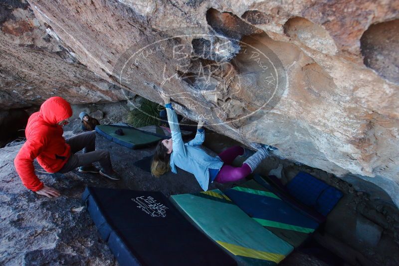 Bouldering in Hueco Tanks on 01/08/2020 with Blue Lizard Climbing and Yoga

Filename: SRM_20200108_1051220.jpg
Aperture: f/5.6
Shutter Speed: 1/250
Body: Canon EOS-1D Mark II
Lens: Canon EF 16-35mm f/2.8 L
