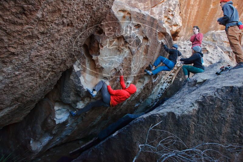 Bouldering in Hueco Tanks on 01/08/2020 with Blue Lizard Climbing and Yoga
Filename: SRM_20200108_1056280.jpg
Aperture: f/6.3
Shutter Speed: 1/250
Body: Canon EOS-1D Mark II
Lens: Canon EF 16-35mm f/2.8 L