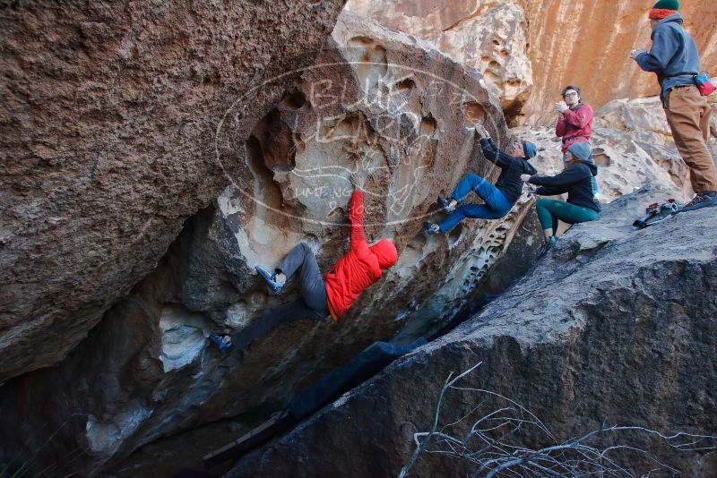 Bouldering in Hueco Tanks on 01/08/2020 with Blue Lizard Climbing and Yoga
Filename: SRM_20200108_1056300.jpg
Aperture: f/6.3
Shutter Speed: 1/250
Body: Canon EOS-1D Mark II
Lens: Canon EF 16-35mm f/2.8 L