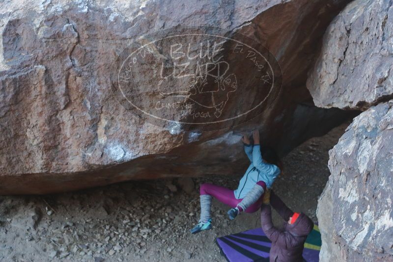 Bouldering in Hueco Tanks on 01/08/2020 with Blue Lizard Climbing and Yoga
Filename: SRM_20200108_1121120.jpg
Aperture: f/4.0
Shutter Speed: 1/250
Body: Canon EOS-1D Mark II
Lens: Canon EF 50mm f/1.8 II