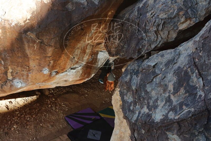 Bouldering in Hueco Tanks on 01/08/2020 with Blue Lizard Climbing and Yoga

Filename: SRM_20200108_1142330.jpg
Aperture: f/5.6
Shutter Speed: 1/250
Body: Canon EOS-1D Mark II
Lens: Canon EF 50mm f/1.8 II