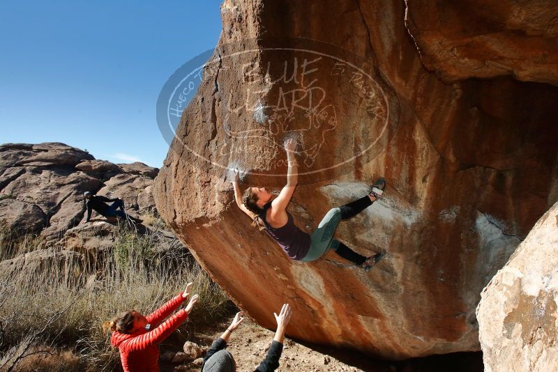 Bouldering in Hueco Tanks on 01/08/2020 with Blue Lizard Climbing and Yoga
Filename: SRM_20200108_1201480.jpg
Aperture: f/8.0
Shutter Speed: 1/250
Body: Canon EOS-1D Mark II
Lens: Canon EF 16-35mm f/2.8 L