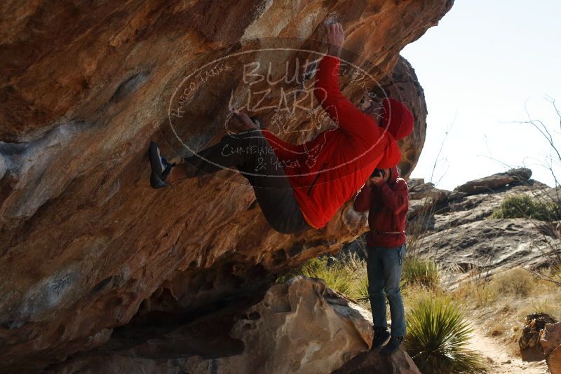 Bouldering in Hueco Tanks on 01/08/2020 with Blue Lizard Climbing and Yoga
Filename: SRM_20200108_1249010.jpg
Aperture: f/8.0
Shutter Speed: 1/400
Body: Canon EOS-1D Mark II
Lens: Canon EF 50mm f/1.8 II