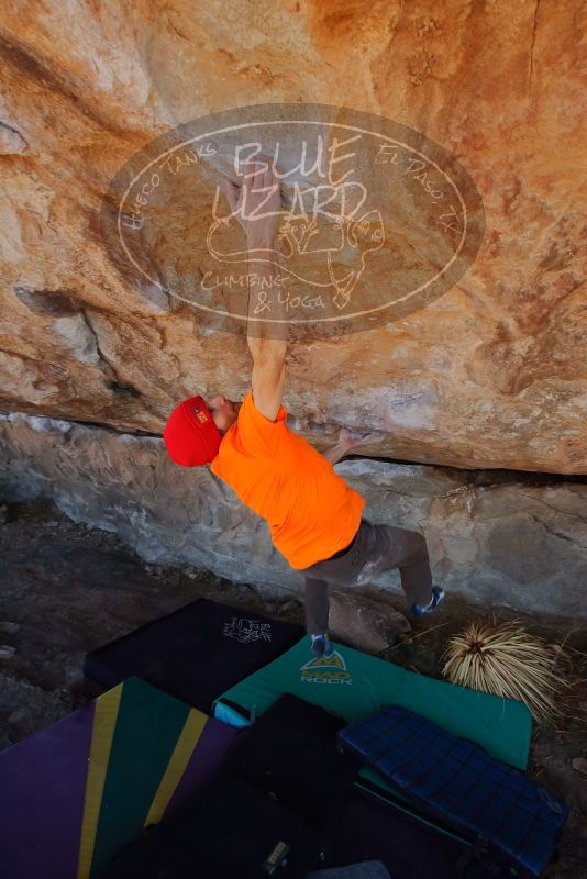 Bouldering in Hueco Tanks on 01/08/2020 with Blue Lizard Climbing and Yoga
Filename: SRM_20200108_1259122.jpg
Aperture: f/7.1
Shutter Speed: 1/250
Body: Canon EOS-1D Mark II
Lens: Canon EF 16-35mm f/2.8 L