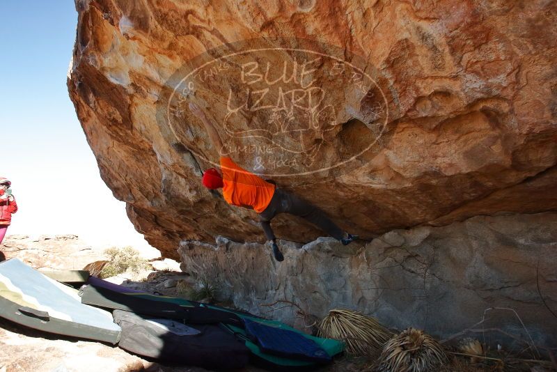 Bouldering in Hueco Tanks on 01/08/2020 with Blue Lizard Climbing and Yoga
Filename: SRM_20200108_1301410.jpg
Aperture: f/7.1
Shutter Speed: 1/500
Body: Canon EOS-1D Mark II
Lens: Canon EF 16-35mm f/2.8 L