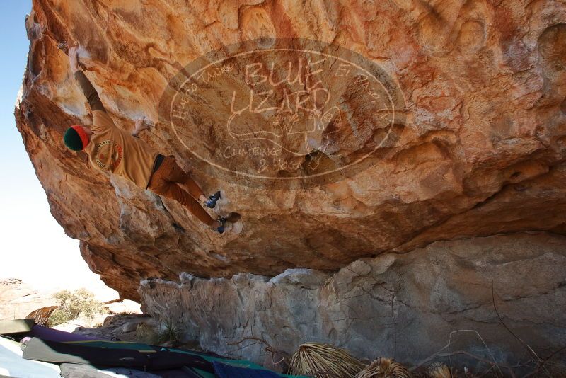 Bouldering in Hueco Tanks on 01/08/2020 with Blue Lizard Climbing and Yoga

Filename: SRM_20200108_1303170.jpg
Aperture: f/6.3
Shutter Speed: 1/500
Body: Canon EOS-1D Mark II
Lens: Canon EF 16-35mm f/2.8 L