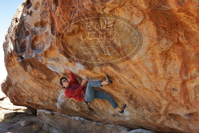 Bouldering in Hueco Tanks on 01/08/2020 with Blue Lizard Climbing and Yoga

Filename: SRM_20200108_1306160.jpg
Aperture: f/7.1
Shutter Speed: 1/500
Body: Canon EOS-1D Mark II
Lens: Canon EF 16-35mm f/2.8 L