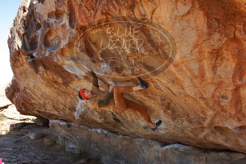 Bouldering in Hueco Tanks on 01/08/2020 with Blue Lizard Climbing and Yoga

Filename: SRM_20200108_1308060.jpg
Aperture: f/8.0
Shutter Speed: 1/500
Body: Canon EOS-1D Mark II
Lens: Canon EF 16-35mm f/2.8 L