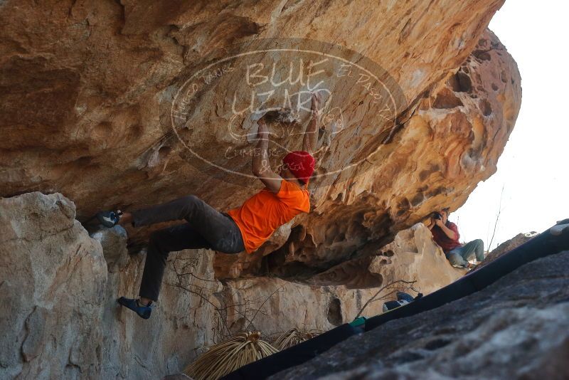 Bouldering in Hueco Tanks on 01/08/2020 with Blue Lizard Climbing and Yoga

Filename: SRM_20200108_1326250.jpg
Aperture: f/7.1
Shutter Speed: 1/500
Body: Canon EOS-1D Mark II
Lens: Canon EF 50mm f/1.8 II