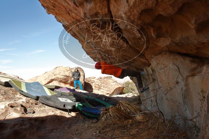 Bouldering in Hueco Tanks on 01/08/2020 with Blue Lizard Climbing and Yoga
Filename: SRM_20200108_1331430.jpg
Aperture: f/8.0
Shutter Speed: 1/500
Body: Canon EOS-1D Mark II
Lens: Canon EF 16-35mm f/2.8 L