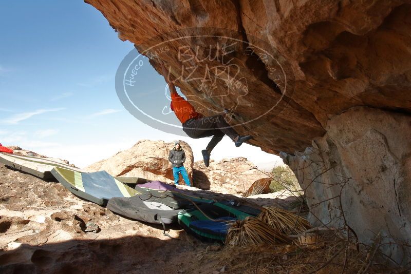 Bouldering in Hueco Tanks on 01/08/2020 with Blue Lizard Climbing and Yoga
Filename: SRM_20200108_1331491.jpg
Aperture: f/8.0
Shutter Speed: 1/500
Body: Canon EOS-1D Mark II
Lens: Canon EF 16-35mm f/2.8 L
