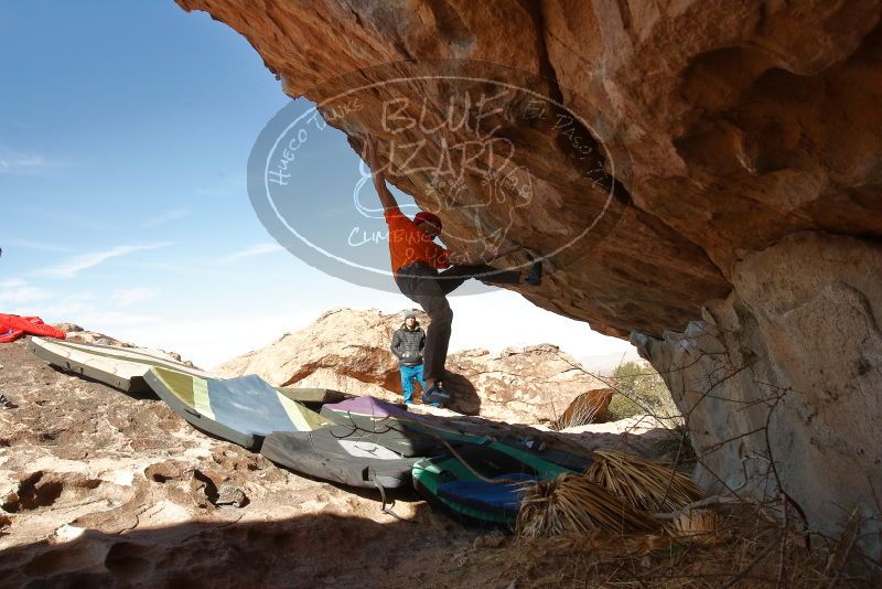 Bouldering in Hueco Tanks on 01/08/2020 with Blue Lizard Climbing and Yoga
Filename: SRM_20200108_1331511.jpg
Aperture: f/8.0
Shutter Speed: 1/500
Body: Canon EOS-1D Mark II
Lens: Canon EF 16-35mm f/2.8 L