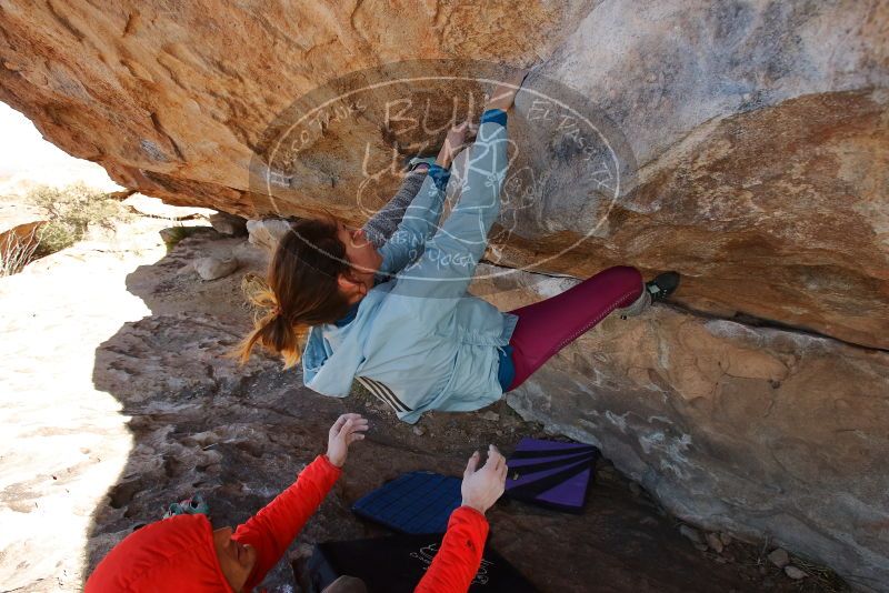 Bouldering in Hueco Tanks on 01/08/2020 with Blue Lizard Climbing and Yoga
Filename: SRM_20200108_1338250.jpg
Aperture: f/5.6
Shutter Speed: 1/400
Body: Canon EOS-1D Mark II
Lens: Canon EF 16-35mm f/2.8 L