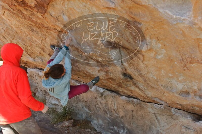 Bouldering in Hueco Tanks on 01/08/2020 with Blue Lizard Climbing and Yoga

Filename: SRM_20200108_1339370.jpg
Aperture: f/6.3
Shutter Speed: 1/400
Body: Canon EOS-1D Mark II
Lens: Canon EF 16-35mm f/2.8 L
