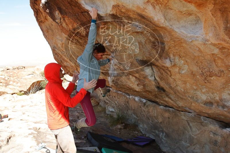 Bouldering in Hueco Tanks on 01/08/2020 with Blue Lizard Climbing and Yoga
Filename: SRM_20200108_1339471.jpg
Aperture: f/7.1
Shutter Speed: 1/400
Body: Canon EOS-1D Mark II
Lens: Canon EF 16-35mm f/2.8 L