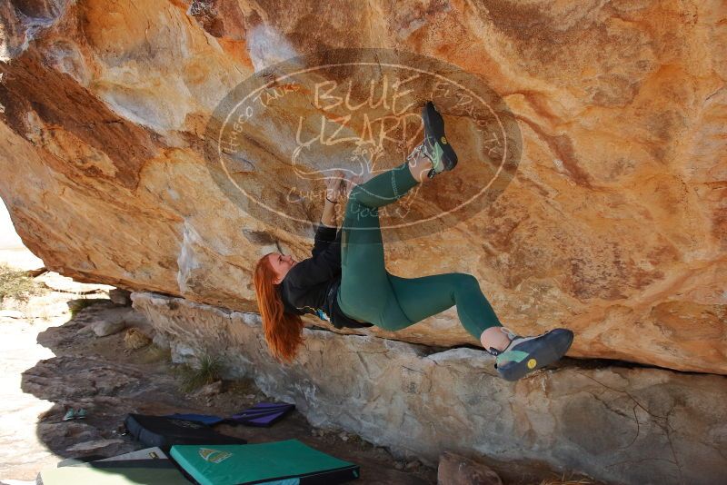 Bouldering in Hueco Tanks on 01/08/2020 with Blue Lizard Climbing and Yoga
Filename: SRM_20200108_1341140.jpg
Aperture: f/6.3
Shutter Speed: 1/400
Body: Canon EOS-1D Mark II
Lens: Canon EF 16-35mm f/2.8 L