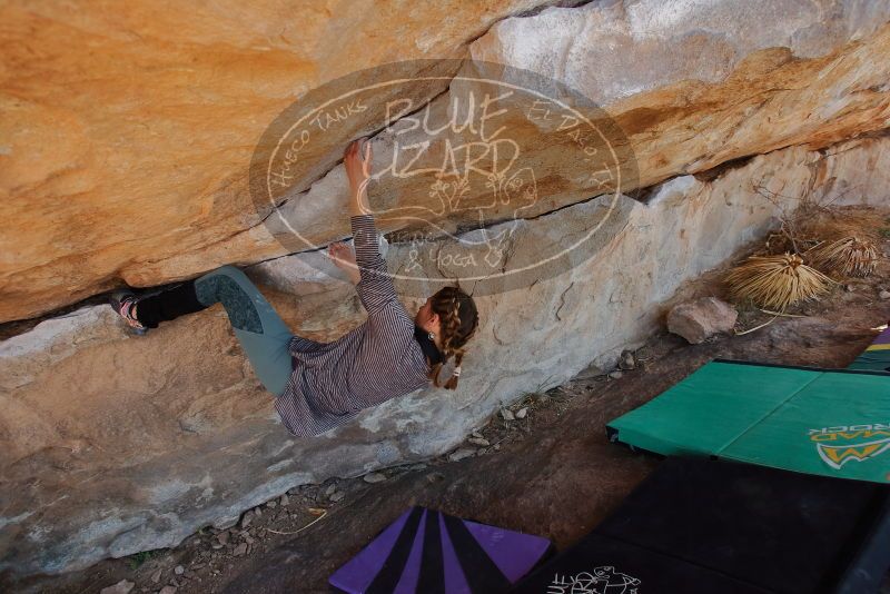 Bouldering in Hueco Tanks on 01/08/2020 with Blue Lizard Climbing and Yoga

Filename: SRM_20200108_1342050.jpg
Aperture: f/4.5
Shutter Speed: 1/400
Body: Canon EOS-1D Mark II
Lens: Canon EF 16-35mm f/2.8 L