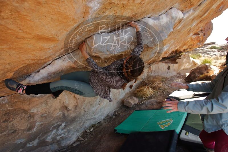 Bouldering in Hueco Tanks on 01/08/2020 with Blue Lizard Climbing and Yoga
Filename: SRM_20200108_1342130.jpg
Aperture: f/5.0
Shutter Speed: 1/400
Body: Canon EOS-1D Mark II
Lens: Canon EF 16-35mm f/2.8 L