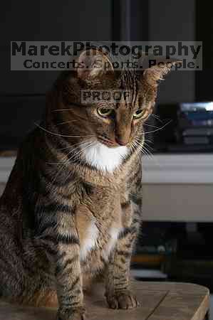 1020409145

Filename: SRM_20050826_193000_3.jpg
Aperture: f/5.6
Shutter Speed: 1/160
Body: Canon EOS 20D
Lens: Canon EF-S 18-55mm f/3.5-5.6