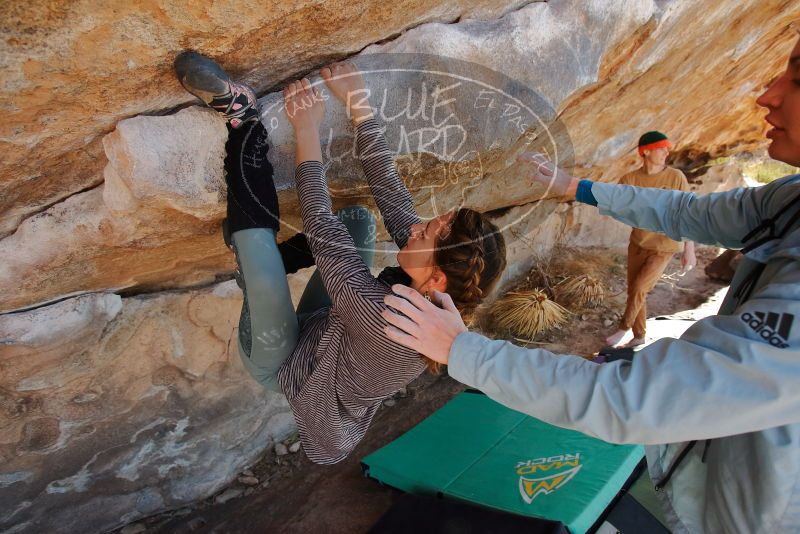 Bouldering in Hueco Tanks on 01/08/2020 with Blue Lizard Climbing and Yoga
Filename: SRM_20200108_1342240.jpg
Aperture: f/5.0
Shutter Speed: 1/400
Body: Canon EOS-1D Mark II
Lens: Canon EF 16-35mm f/2.8 L