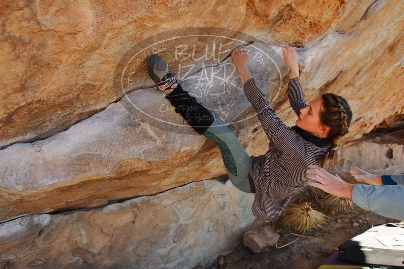 Bouldering in Hueco Tanks on 01/08/2020 with Blue Lizard Climbing and Yoga
Filename: SRM_20200108_1342540.jpg
Aperture: f/5.0
Shutter Speed: 1/400
Body: Canon EOS-1D Mark II
Lens: Canon EF 16-35mm f/2.8 L