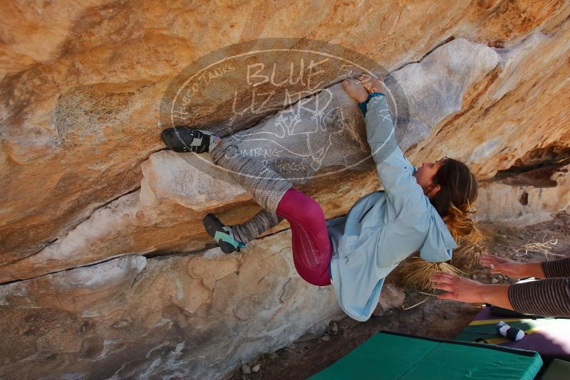 Bouldering in Hueco Tanks on 01/08/2020 with Blue Lizard Climbing and Yoga

Filename: SRM_20200108_1343411.jpg
Aperture: f/5.0
Shutter Speed: 1/400
Body: Canon EOS-1D Mark II
Lens: Canon EF 16-35mm f/2.8 L